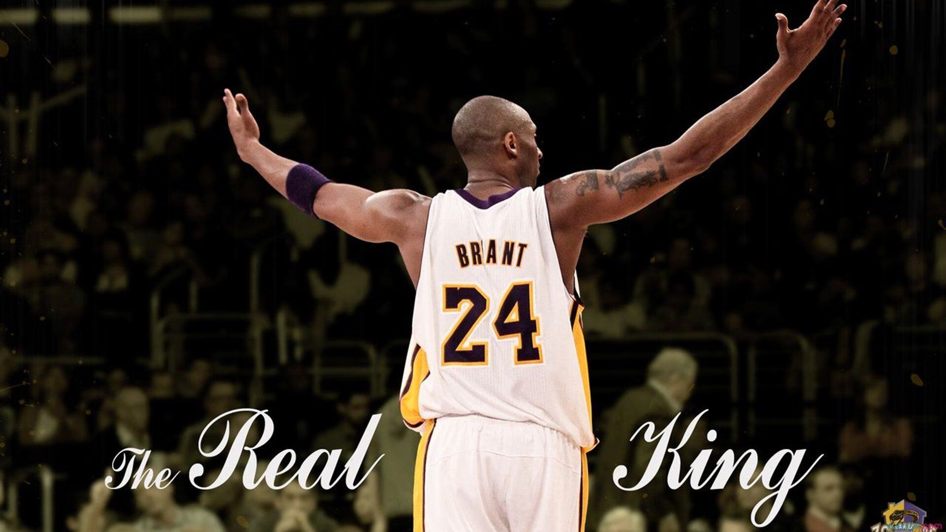 开云足球直播-欧冠淘汰赛焦点战，土耳其火力全开，全面压制里昂