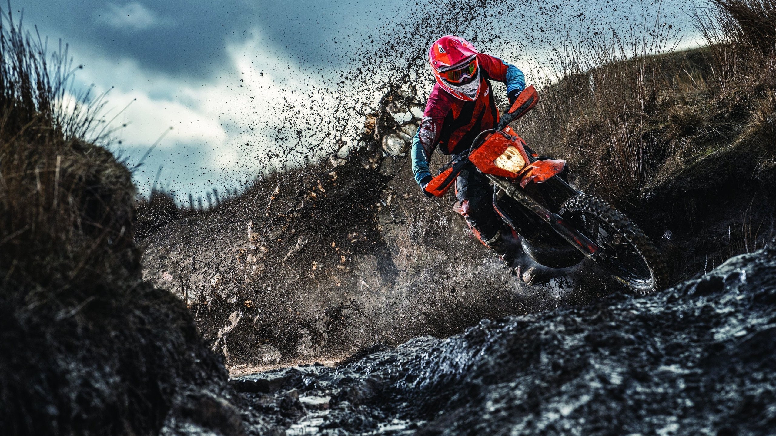 绿茵烽火与乒乓炽焰,葡萄牙鏖战瑞典,许昕状态如日中天